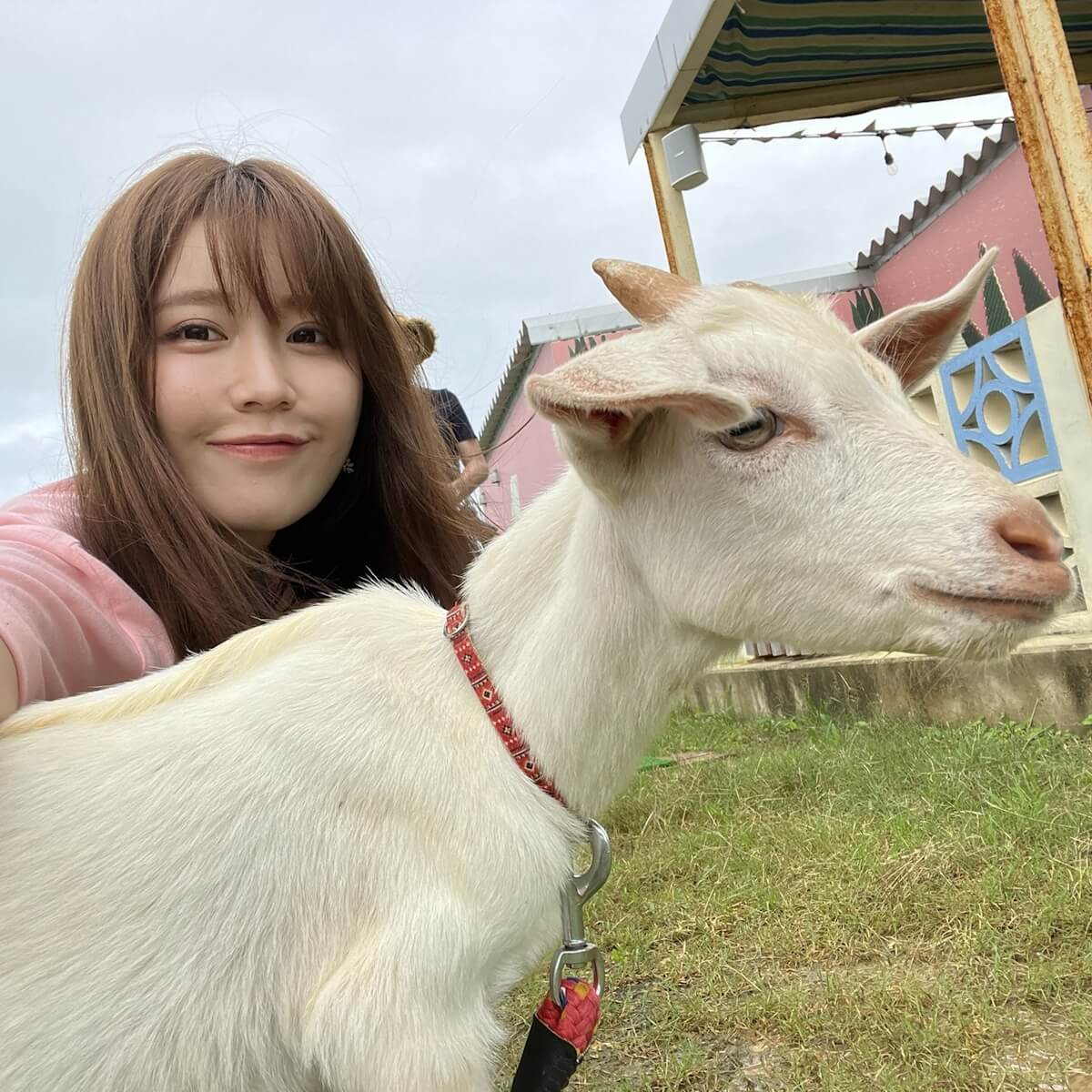 小日向ゆかファースト写真集「はじメェ～まして。」 オンライン